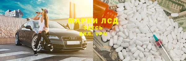 PSILOCYBIN Баксан