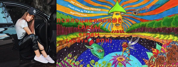 PSILOCYBIN Баксан