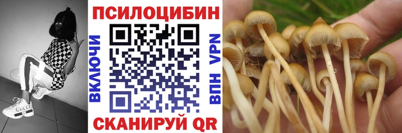 Галлюциногенные грибы GOLDEN TEACHER Малая Вишера