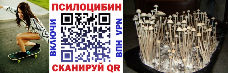 нарко площадка какой сайт  МЕГА tor  Малая Вишера  Галлюциногенные грибы прущие грибы 